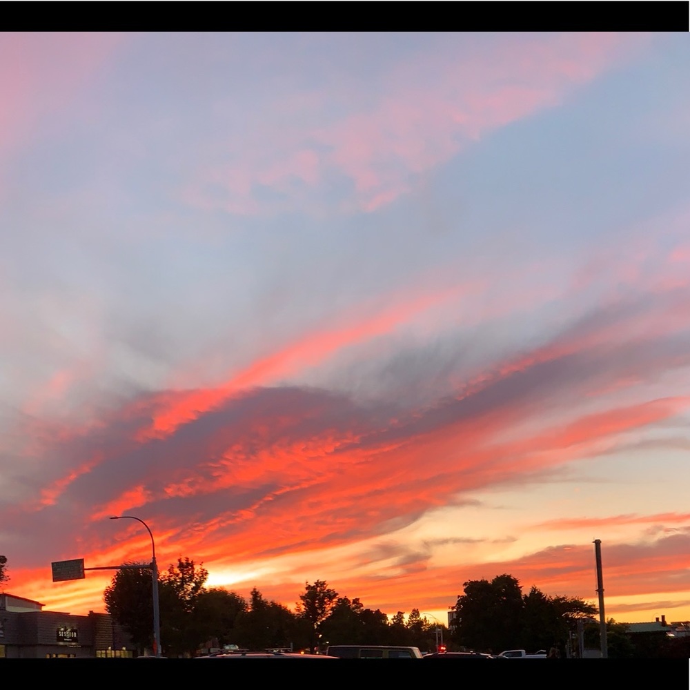 Meet your Posher, Darya